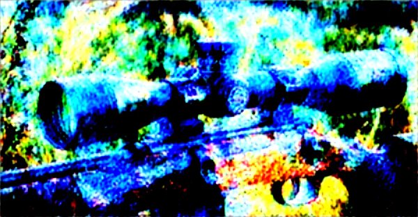 Lunettes de visée de chasse : guide pour choisir la meilleure paire